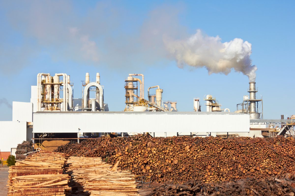 Pulp and Paper Industries